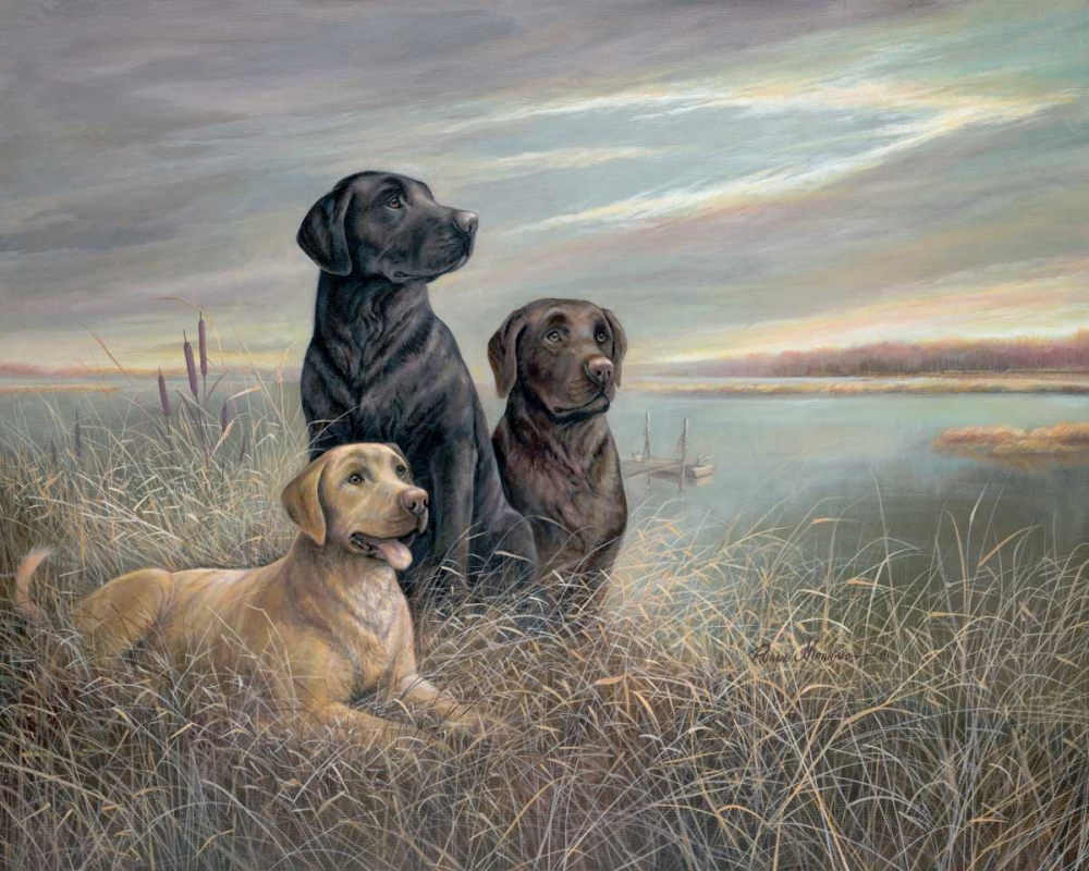 All Grown Up art print by Ruane Manning for $57.95 CAD
