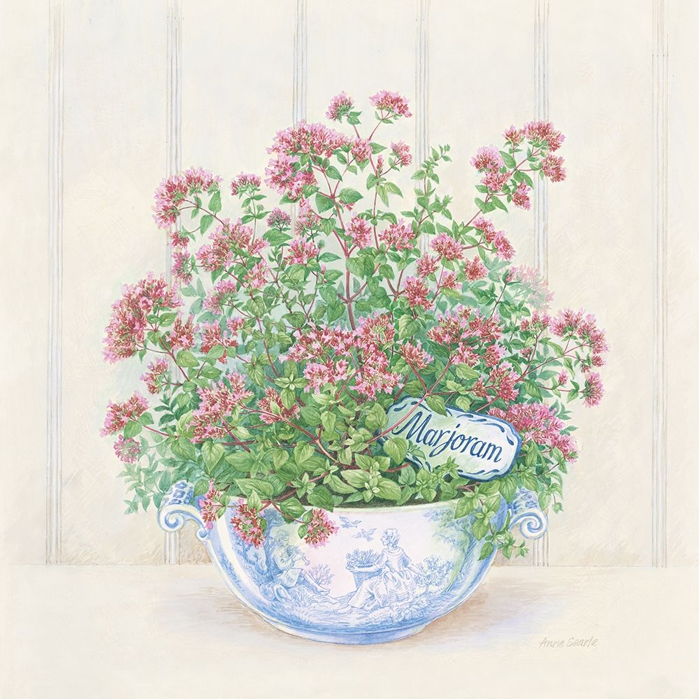 Marjoram art print by Anne Searle for $57.95 CAD