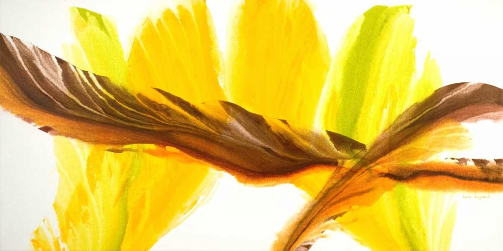 Contrary art print by Jane Segrest for $57.95 CAD