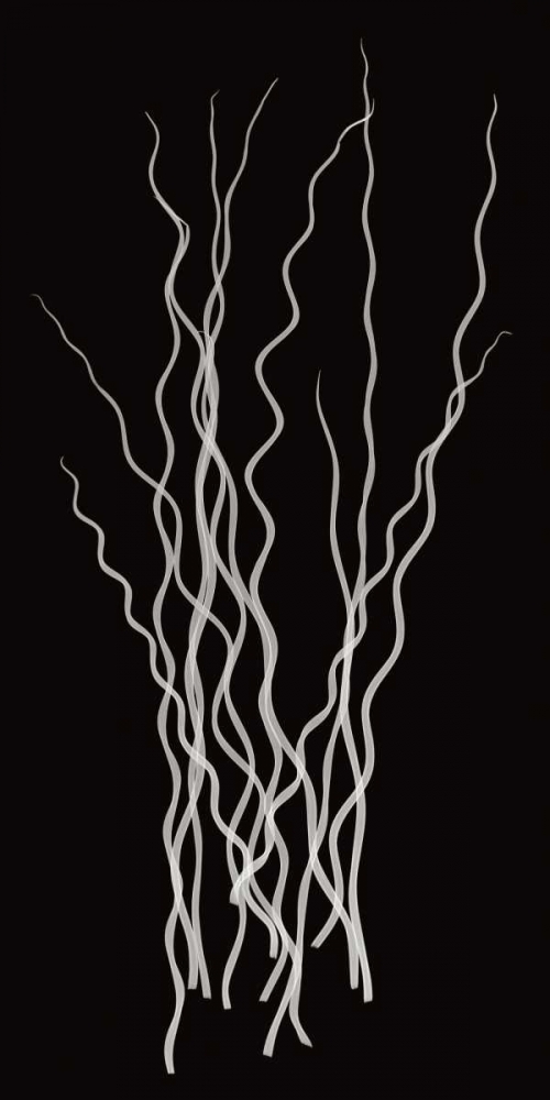 Three Rushes art print by Jim Wehtje for $57.95 CAD