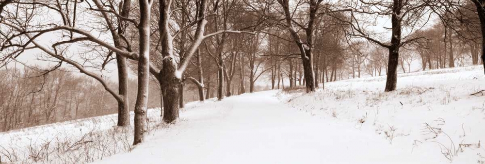 First Snow I art print by Mike Sleeper for $57.95 CAD