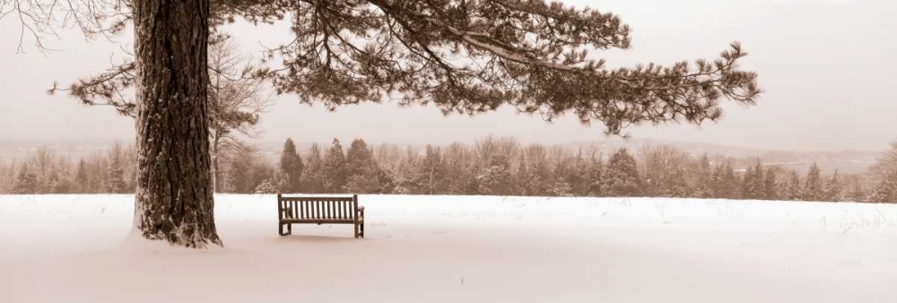 First Snow II art print by Mike Sleeper for $57.95 CAD