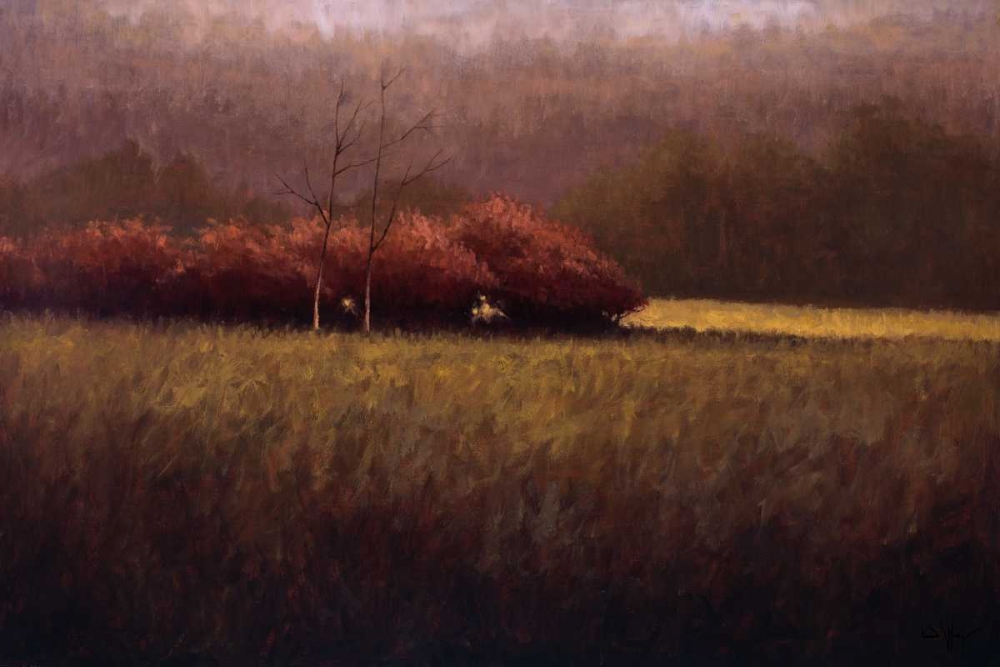 Young Maples art print by Simon Winegar for $57.95 CAD