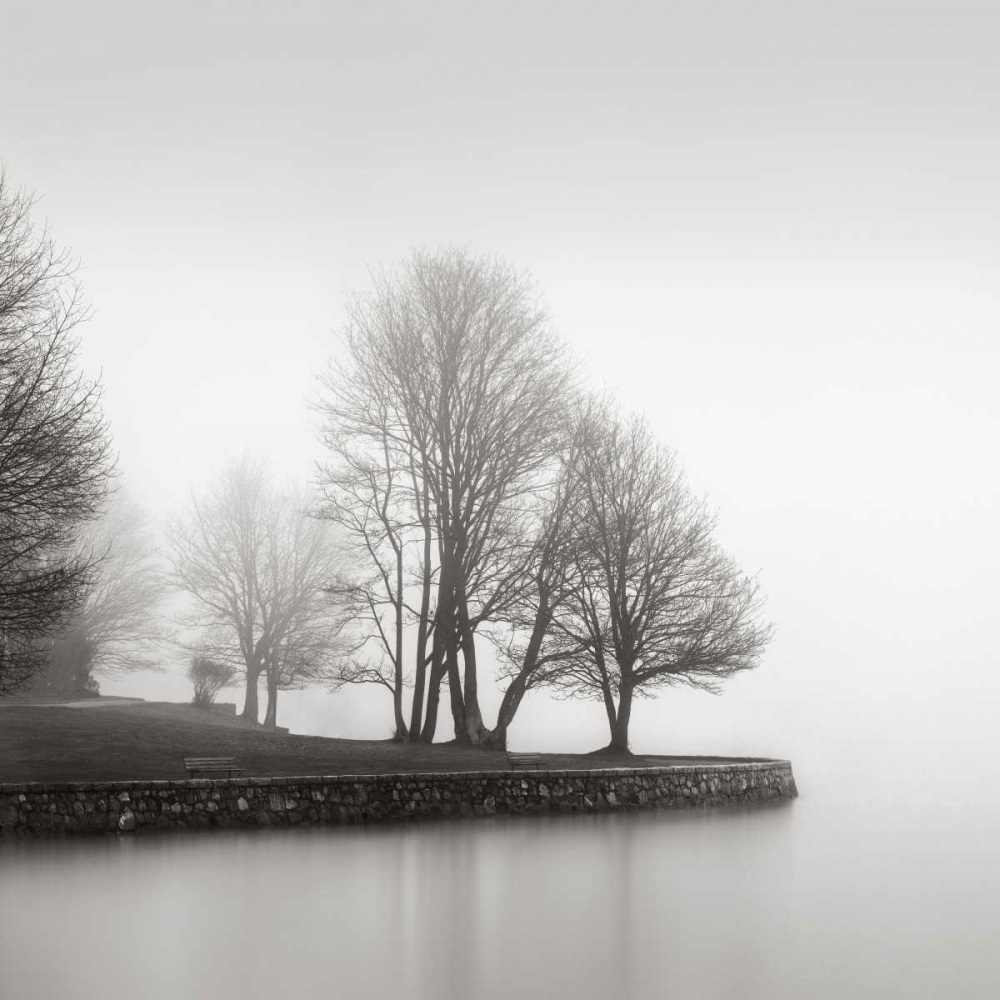 Fog and Trees at Dusk art print by LSH for $57.95 CAD