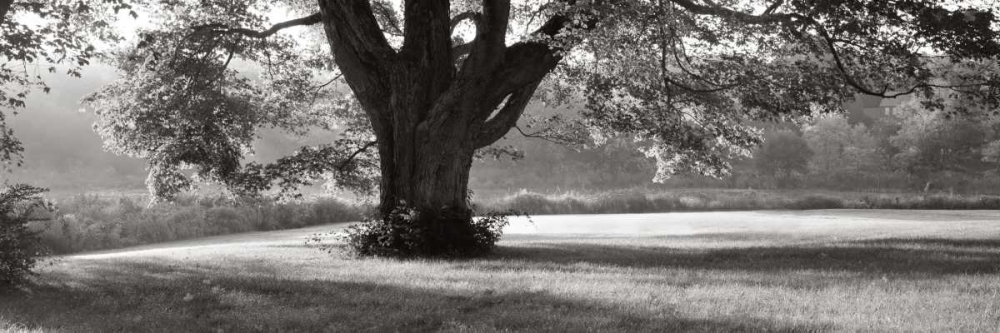 Ascendancy) art print by Mike Sleeper for $57.95 CAD