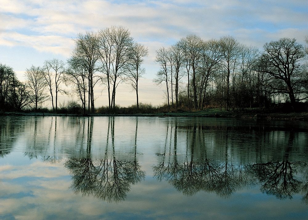 Frozen Reflection art print by Derek Harris for $57.95 CAD