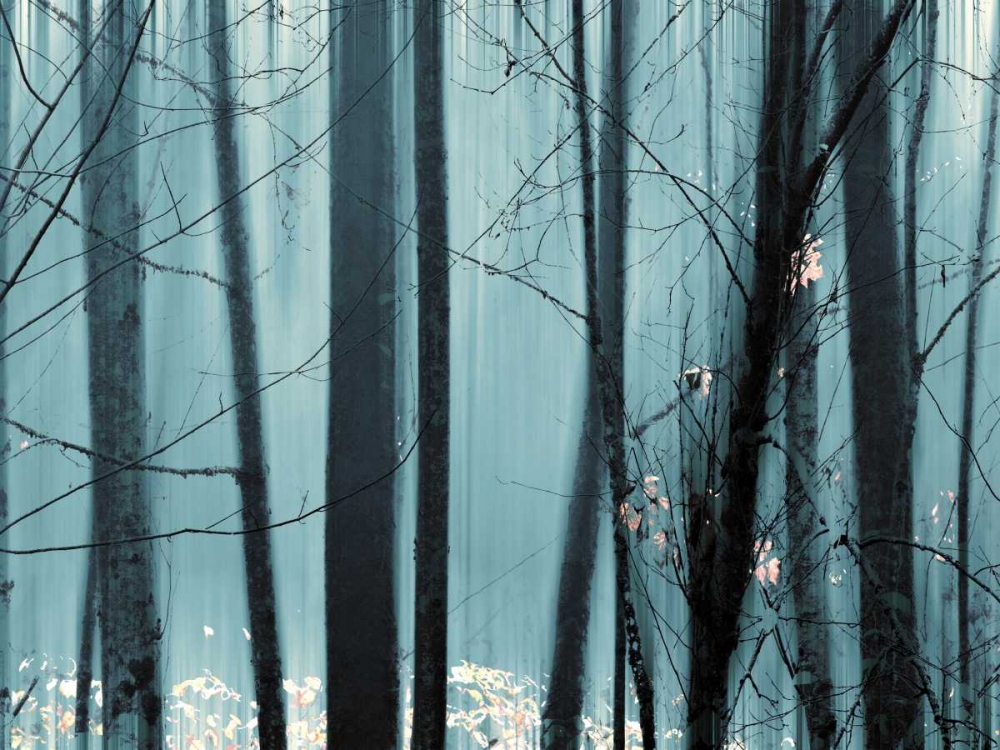 Spring Mist II art print by Marvin Pelkey for $57.95 CAD