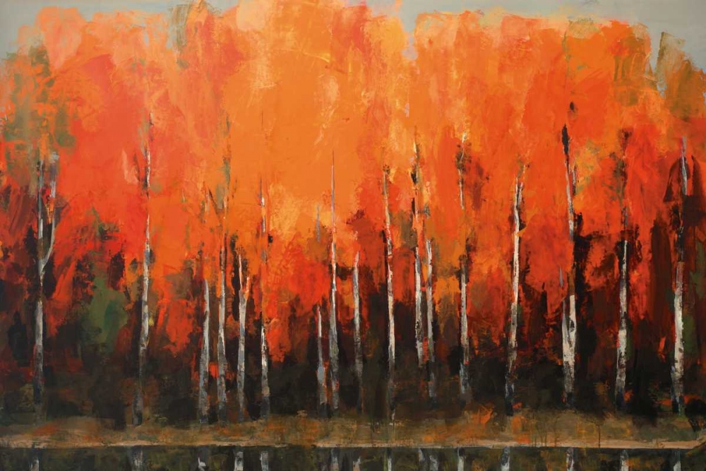 Birch Shoreline art print by Peter Colbert for $57.95 CAD