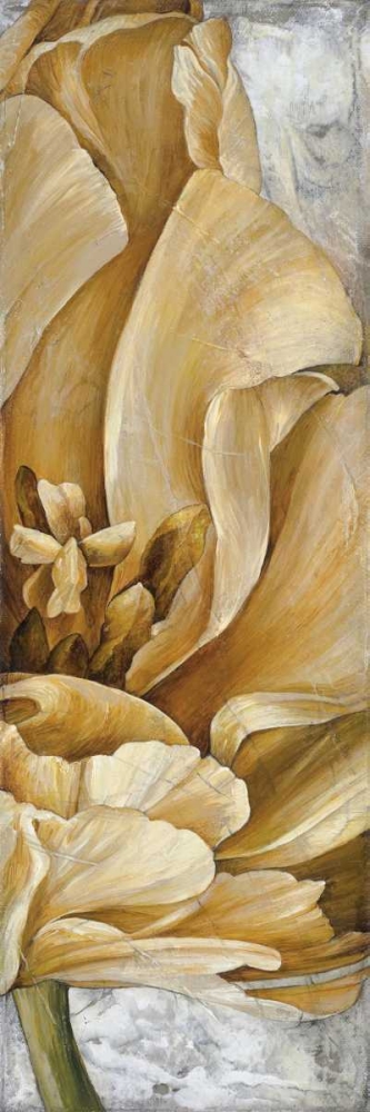 Single Appeal I art print by Linda Thompson for $57.95 CAD