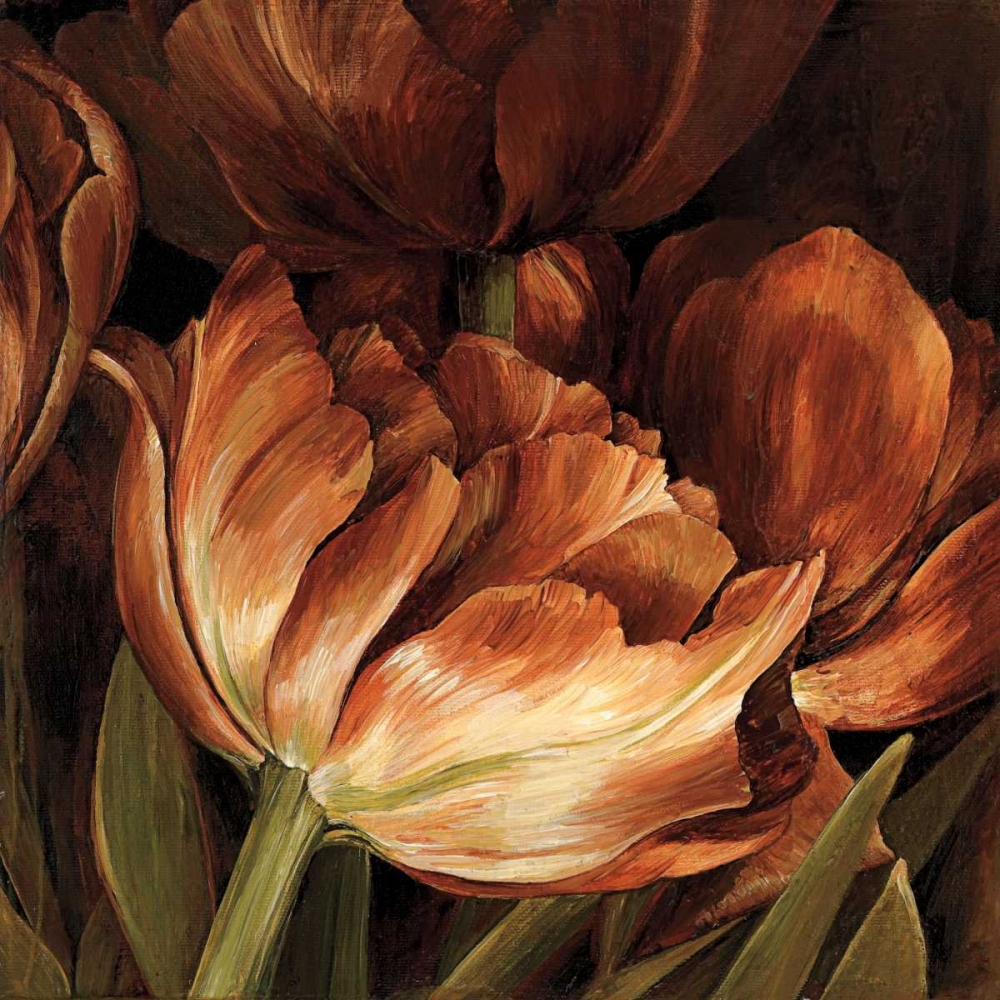 Color Harmony II art print by Linda Thompson for $57.95 CAD