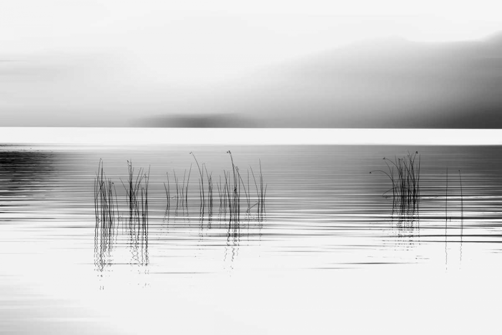 Tranquil Dawn art print by Marvin Pelkey for $57.95 CAD