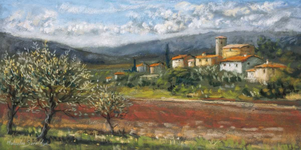 Hillside Olives art print by Malcolm Surridge for $57.95 CAD
