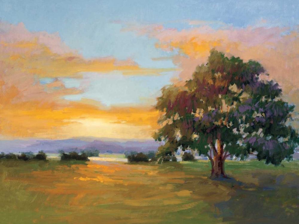 A Sunset Salute art print by Vicki McMurry for $57.95 CAD