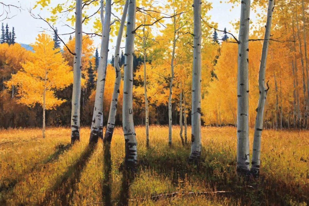 Gentle Rise art print by Douglas Aagaard for $57.95 CAD