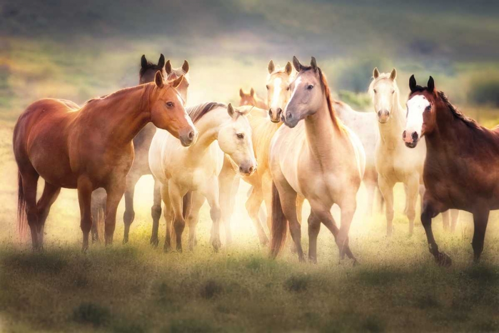 Dance Class art print by Wendy Caro for $57.95 CAD