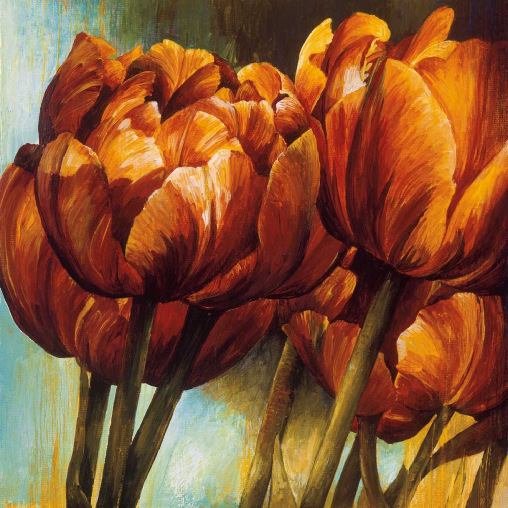 Floral Radiance I art print by Linda Thompson for $57.95 CAD