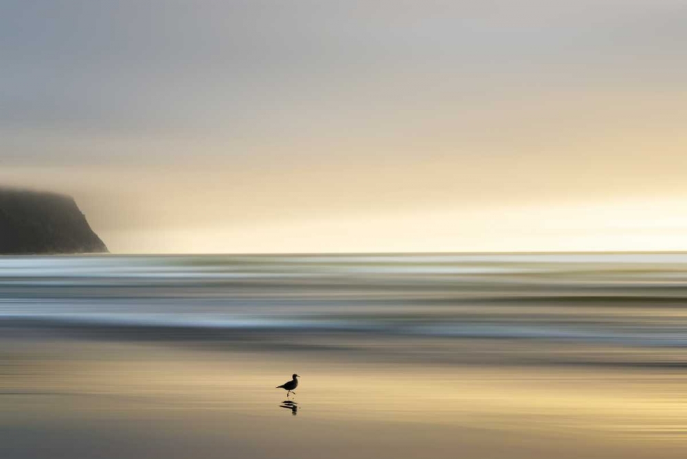 Morning Visit art print by Marvin Pelkey for $57.95 CAD