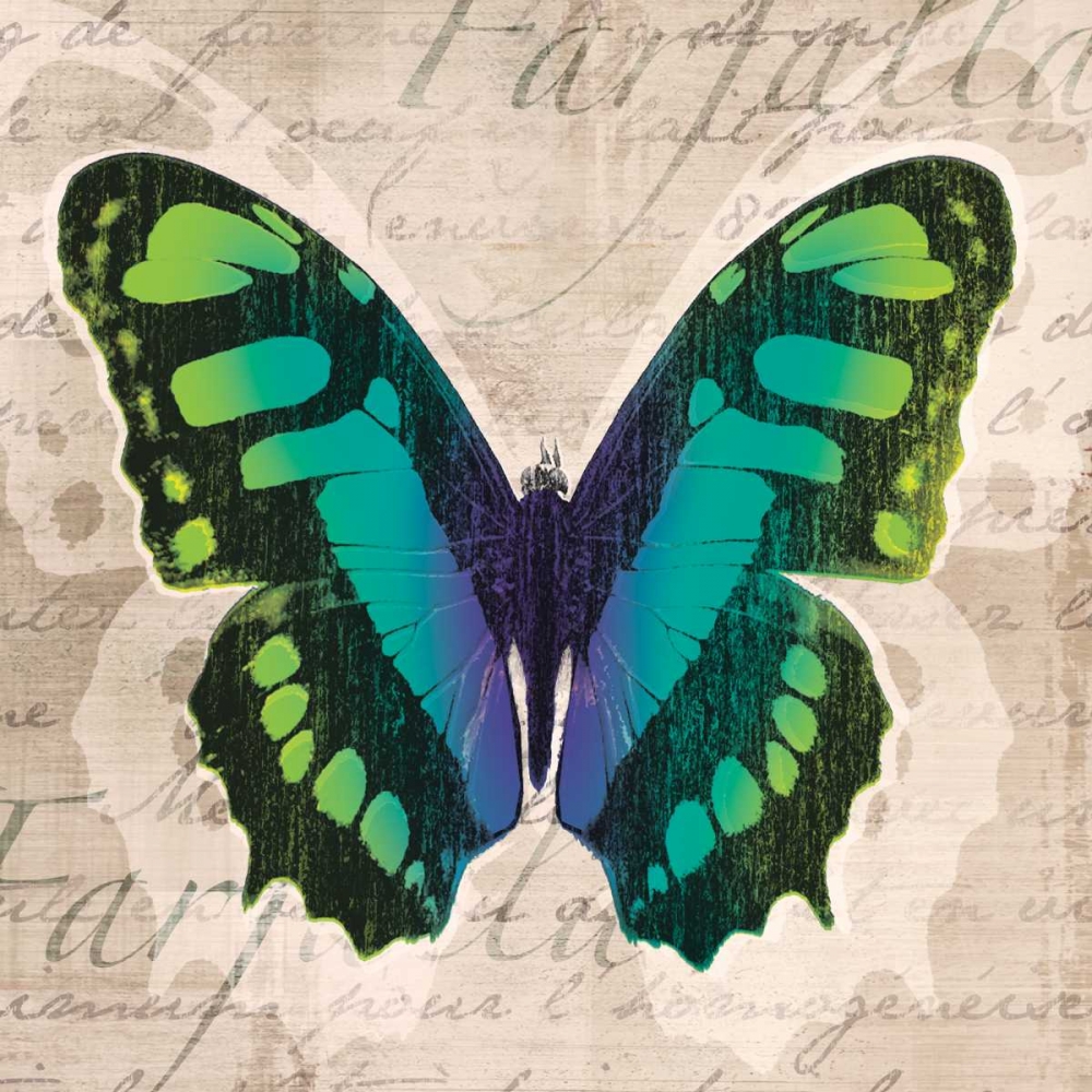 Butterflies II art print by Tandi Venter for $57.95 CAD