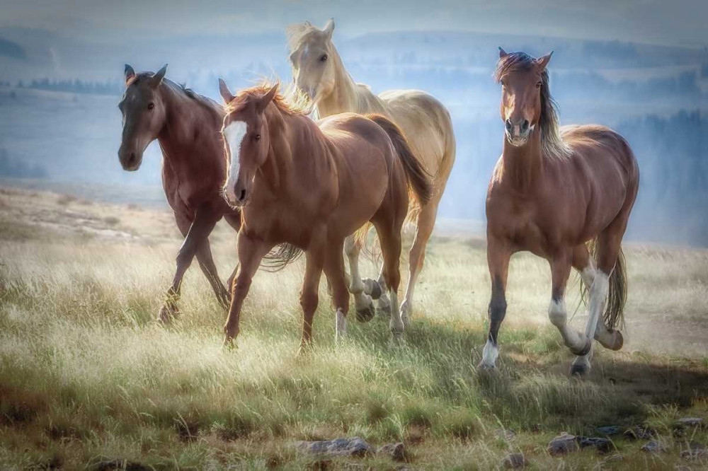 Morning Stroll art print by Wendy Caro for $57.95 CAD