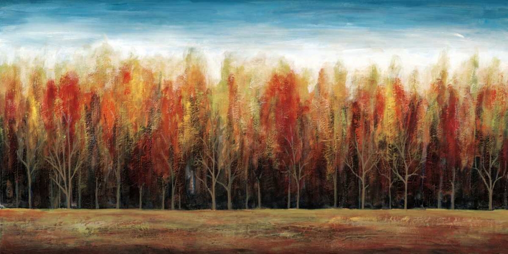 Deep Forest art print by Stephane Fontaine for $57.95 CAD