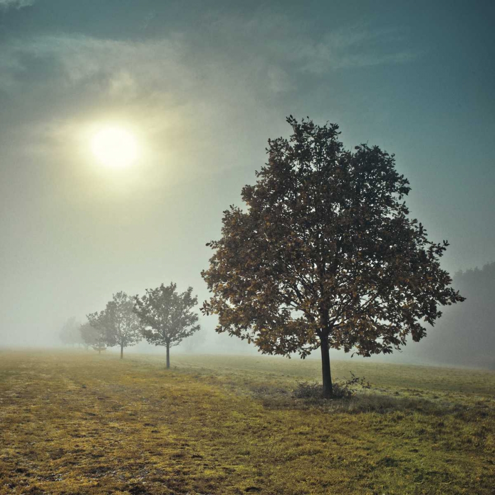 Its a New Day art print by Assaf Frank for $57.95 CAD