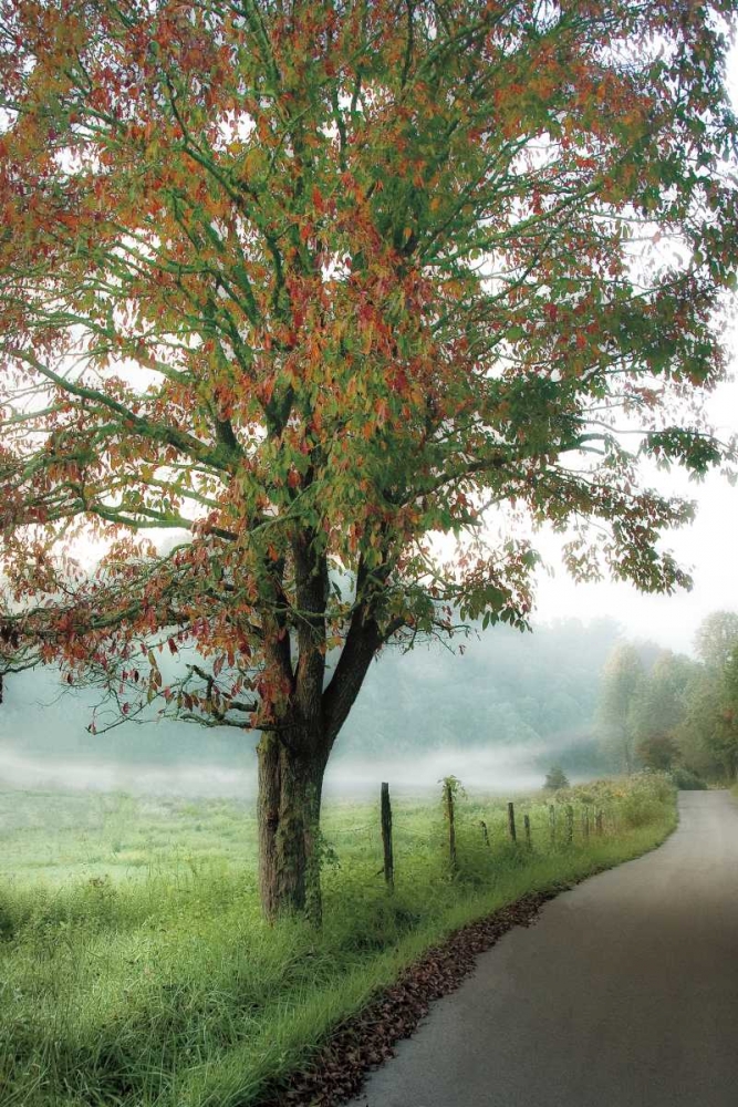 Almost Autumn art print by D. Burt for $57.95 CAD