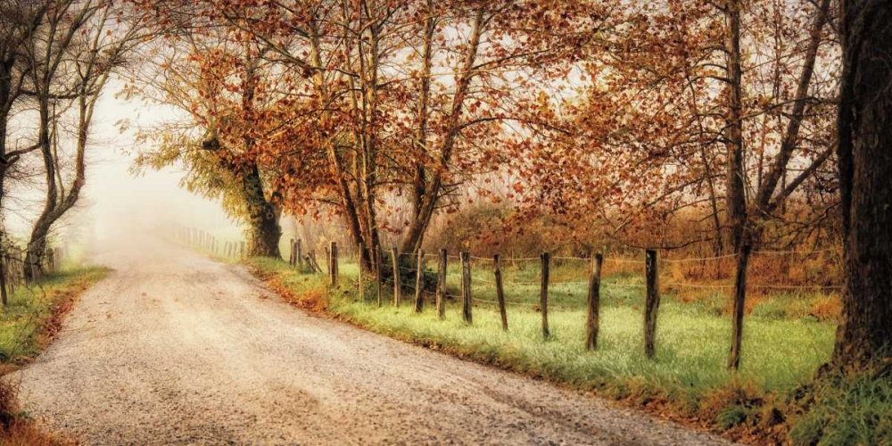 Fog Ahead art print by D. Burt for $57.95 CAD