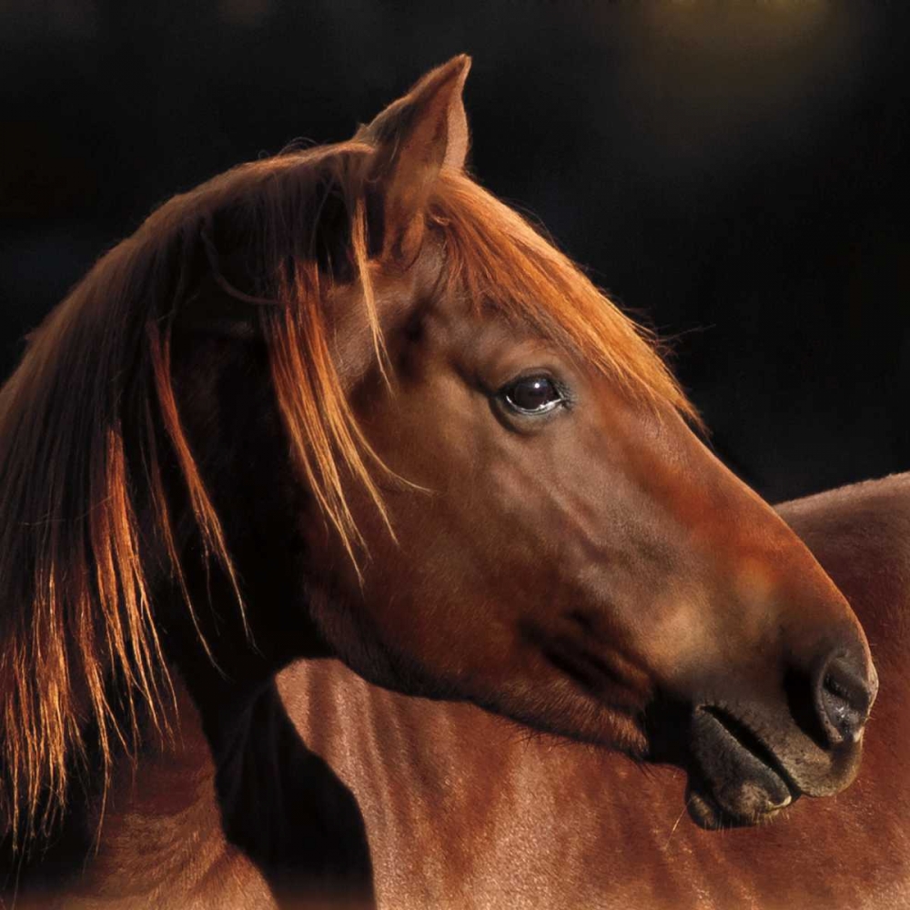 Pretty Girl art print by Wendy Caro for $57.95 CAD