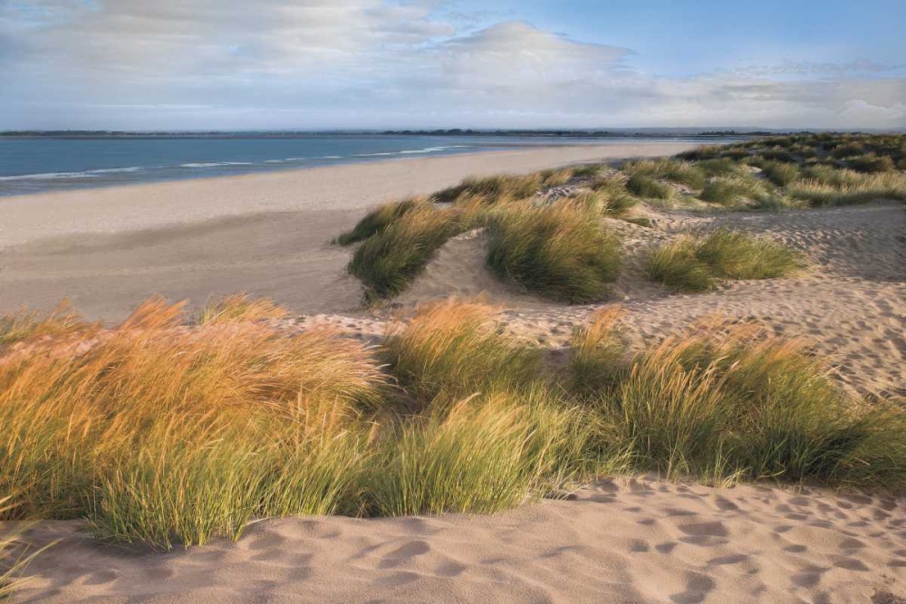 Sandy Shores art print by Assaf Frank for $57.95 CAD