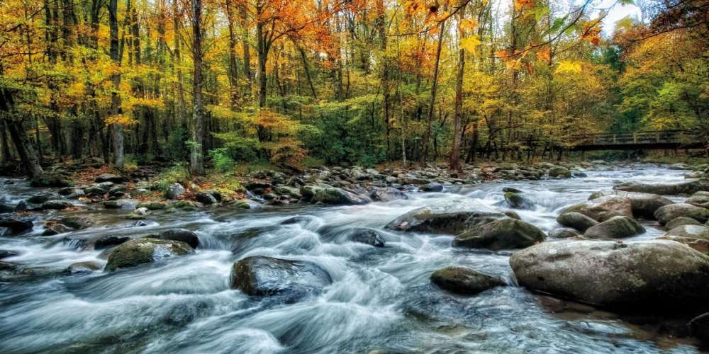 Painted Autumn art print by D. Burt for $57.95 CAD