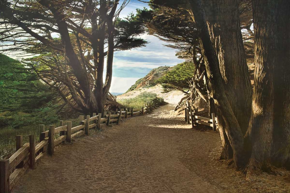 Big Sur art print by Michael Cahill for $57.95 CAD