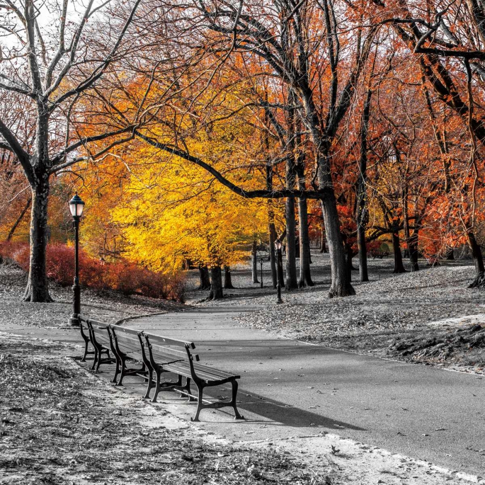 Park Pretty I art print by Assaf Frank for $57.95 CAD