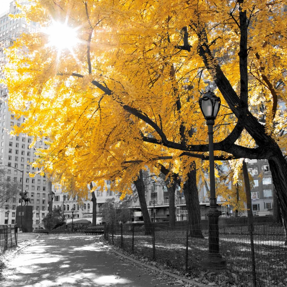 Park Pretty II art print by Assaf Frank for $57.95 CAD