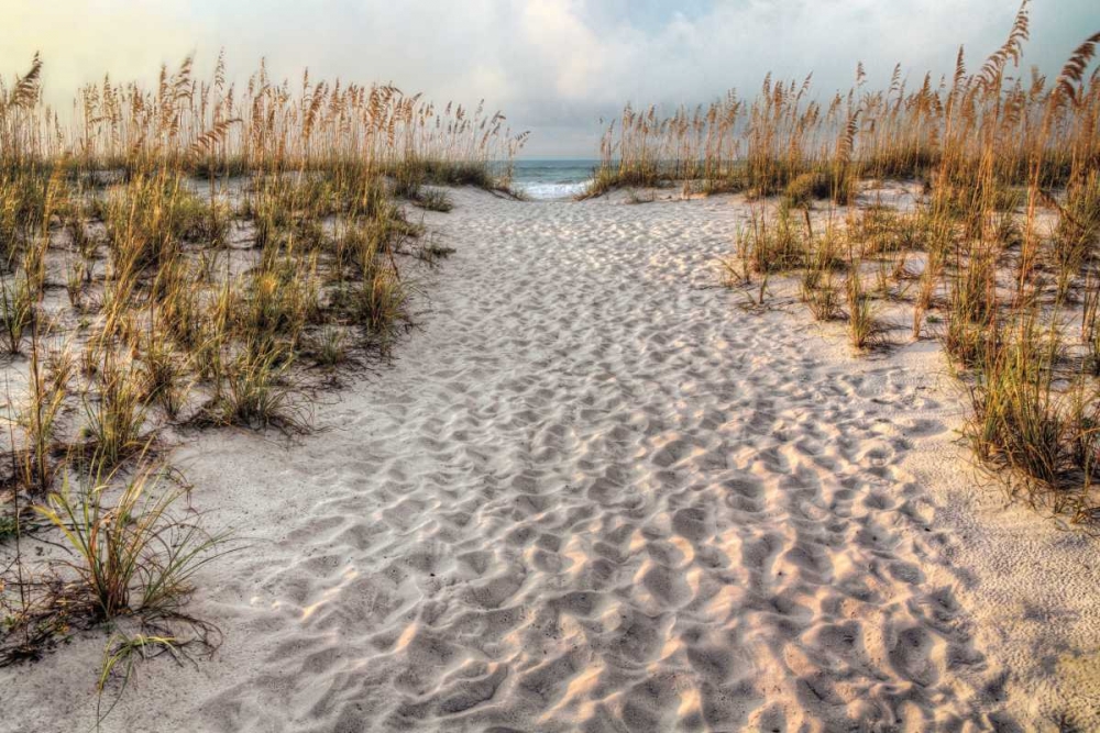 Path to the Beach art print by Michael Cahill for $57.95 CAD