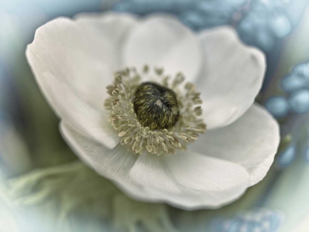 Inspired art print by Assaf Frank for $57.95 CAD