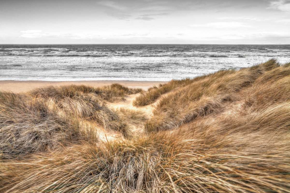 Beach Dunes art print by Assaf Frank for $57.95 CAD