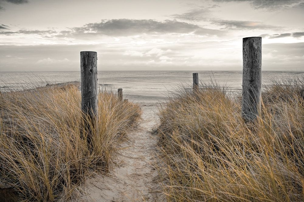 Beach Day art print by Assaf Frank for $57.95 CAD