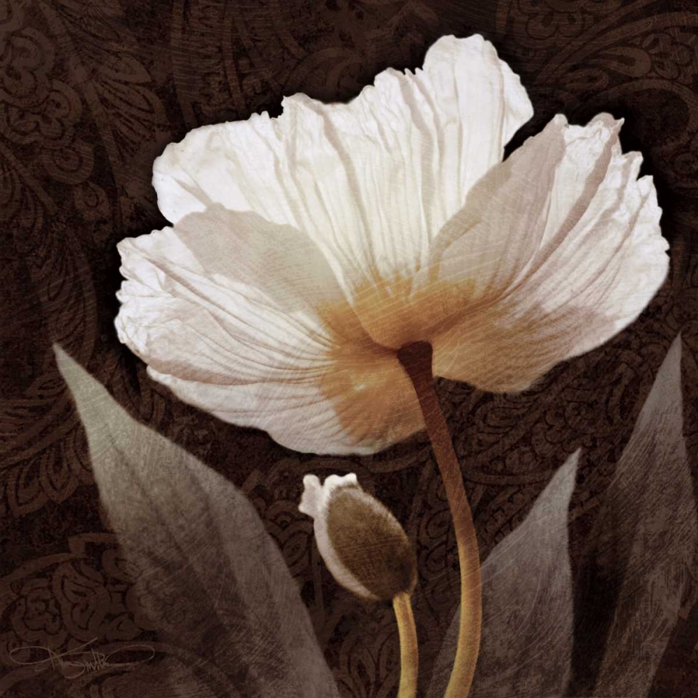Paisley Poppy I art print by Keith Mallett for $57.95 CAD