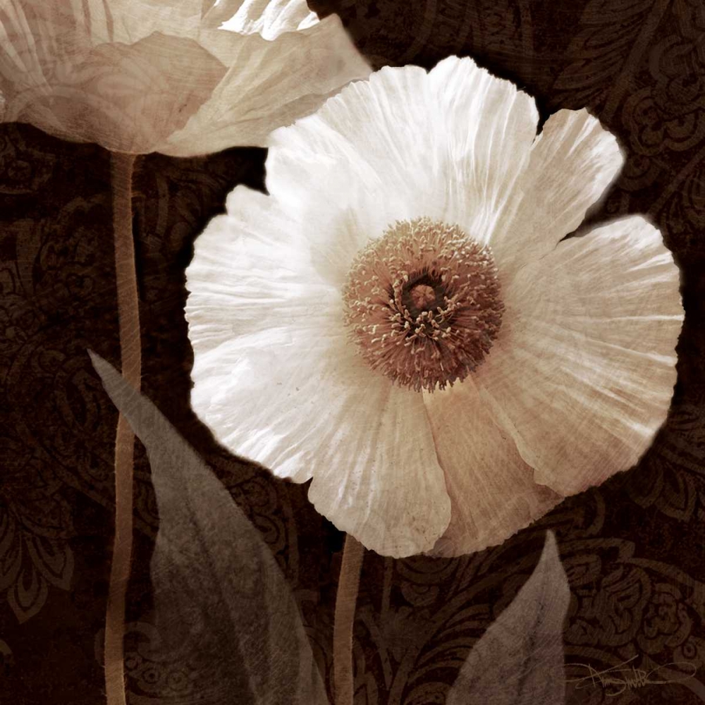Paisley Poppy II art print by Keith Mallett for $57.95 CAD