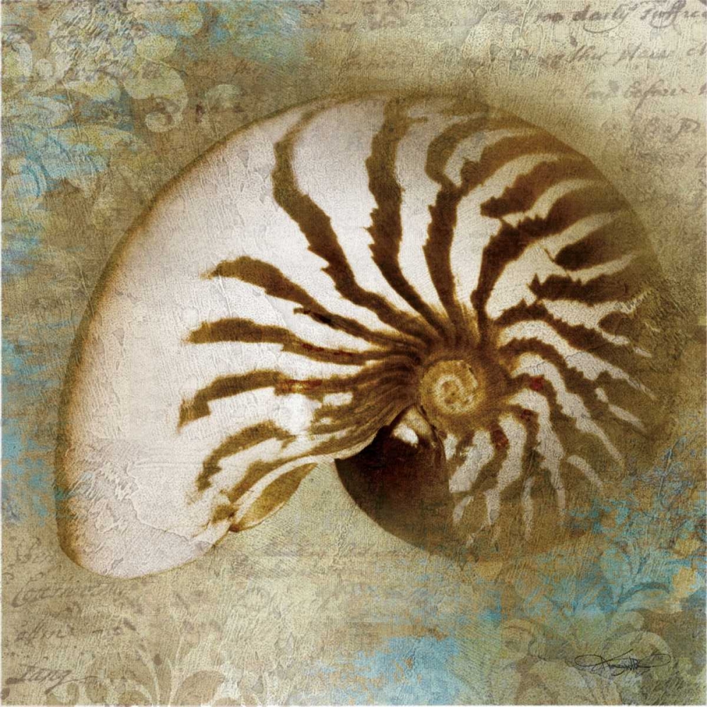 Nautical Beauty art print by Keith Mallett for $57.95 CAD
