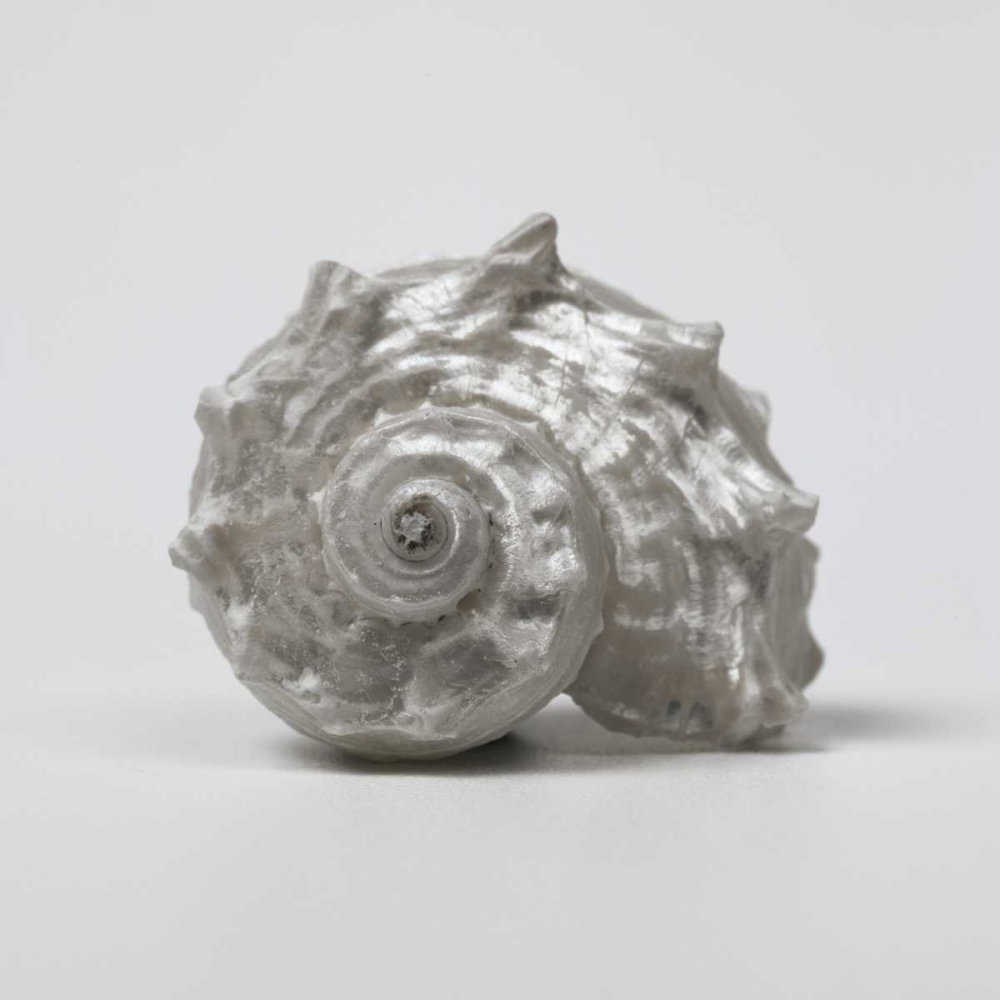 Beachside Treasure III art print by Assaf Frank for $57.95 CAD