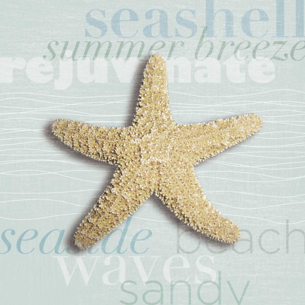 Beach Collection II art print by Tandi Venter for $57.95 CAD