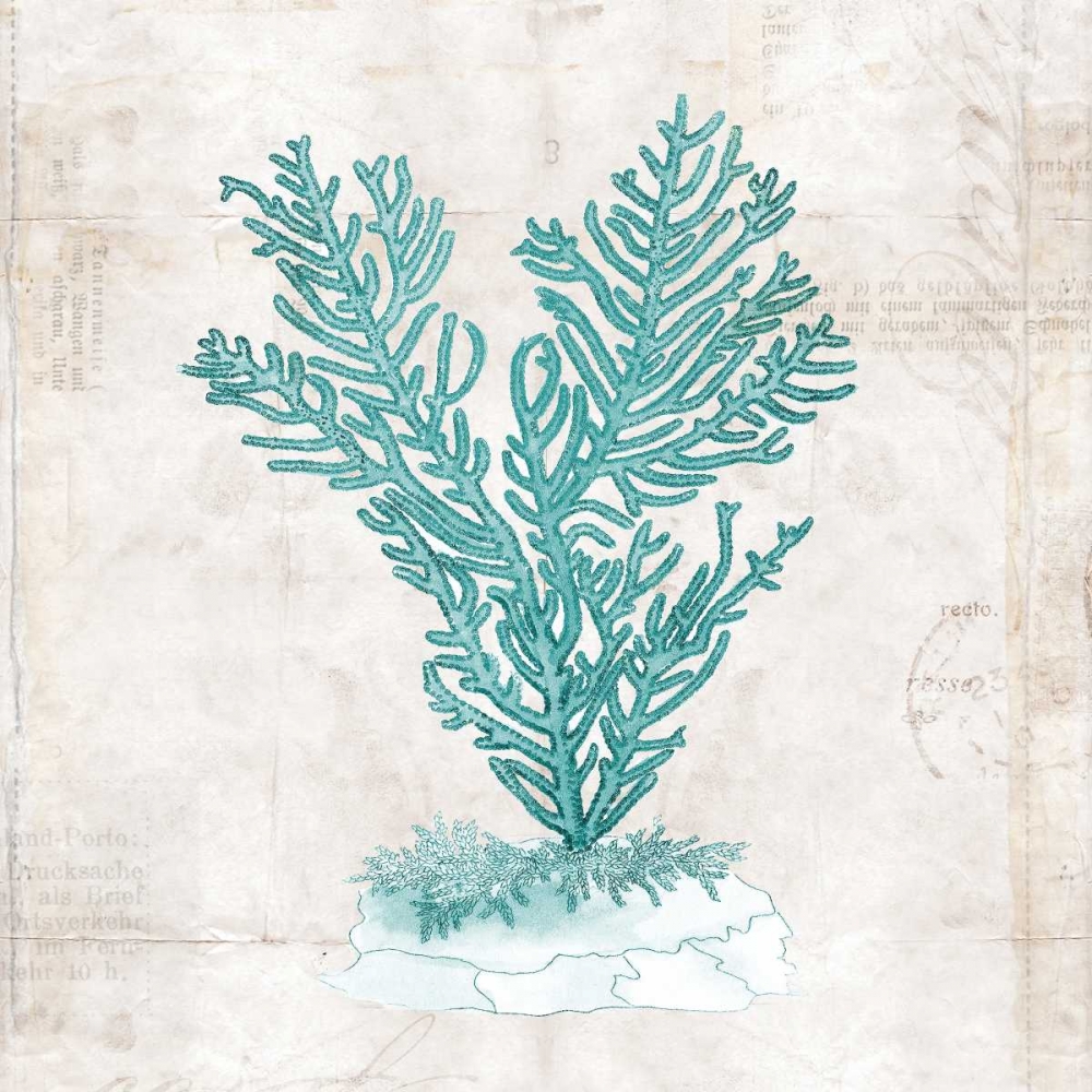 Under the Sea II art print by Sabine Berg for $57.95 CAD