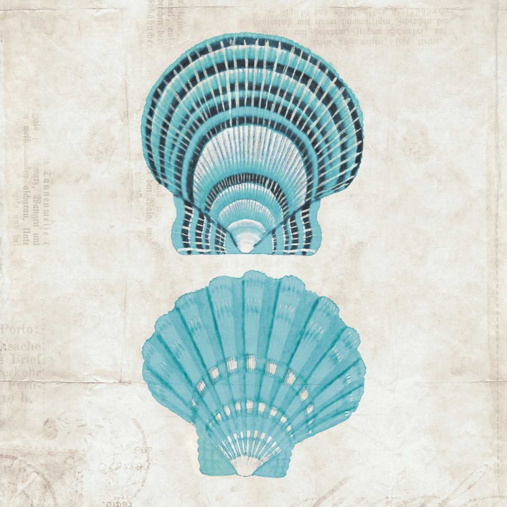 Under the Sea III art print by Sabine Berg for $57.95 CAD