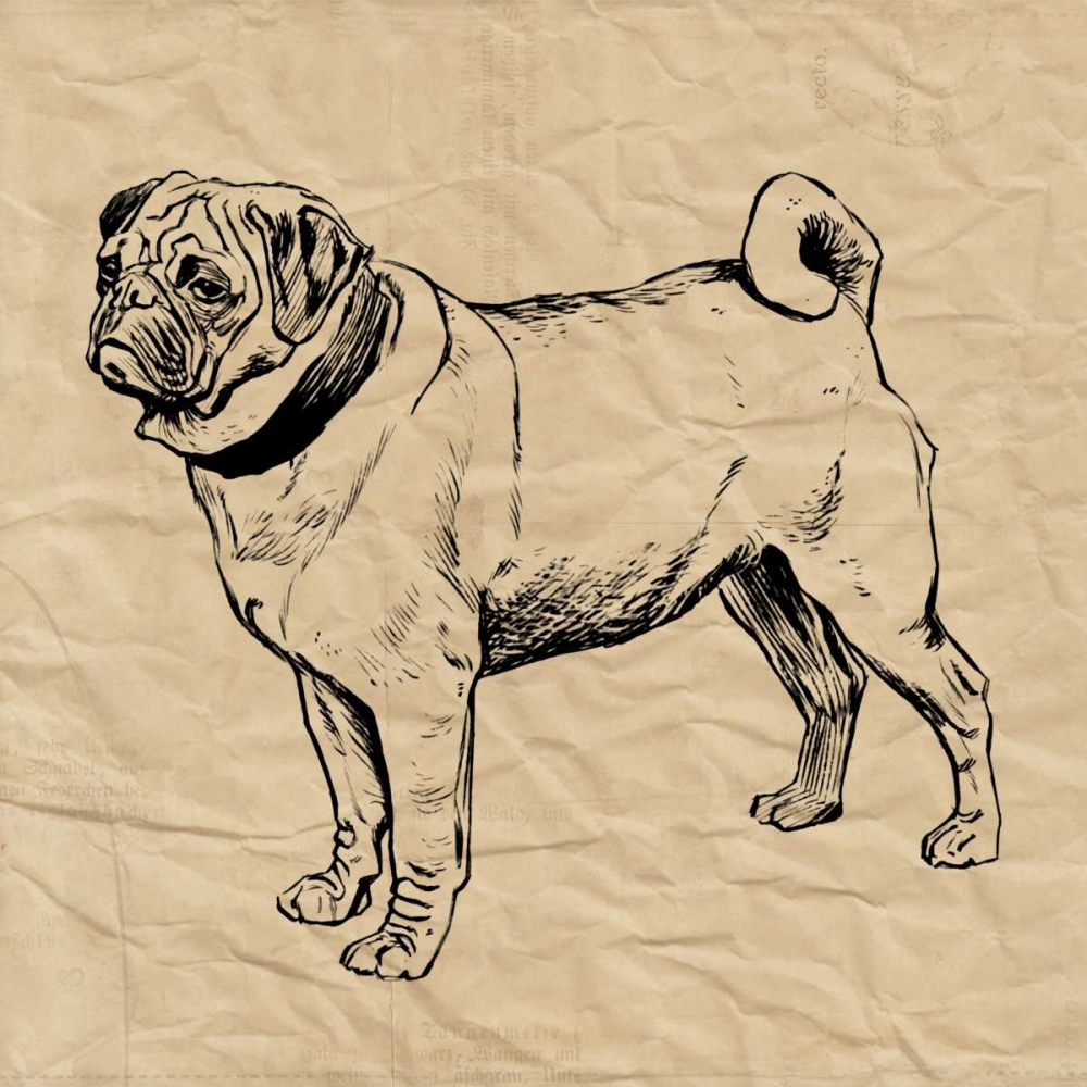 Pug art print by Sabine Berg for $57.95 CAD