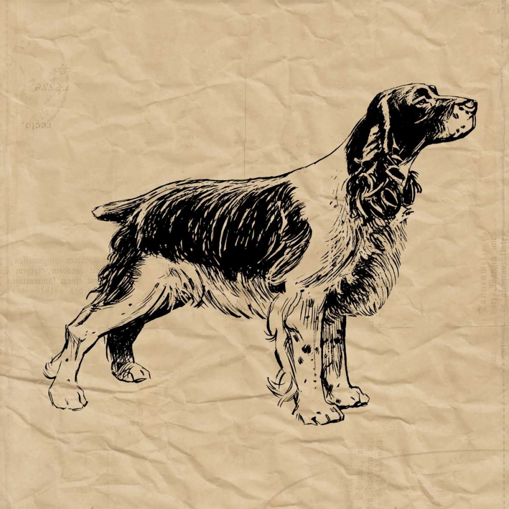 Spaniel art print by Sabine Berg for $57.95 CAD
