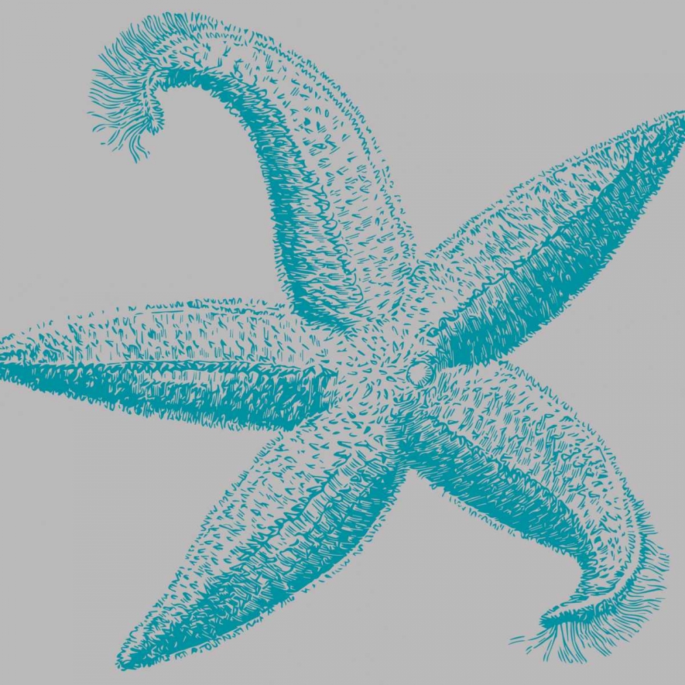 Sea Stars I art print by Sabine Berg for $57.95 CAD