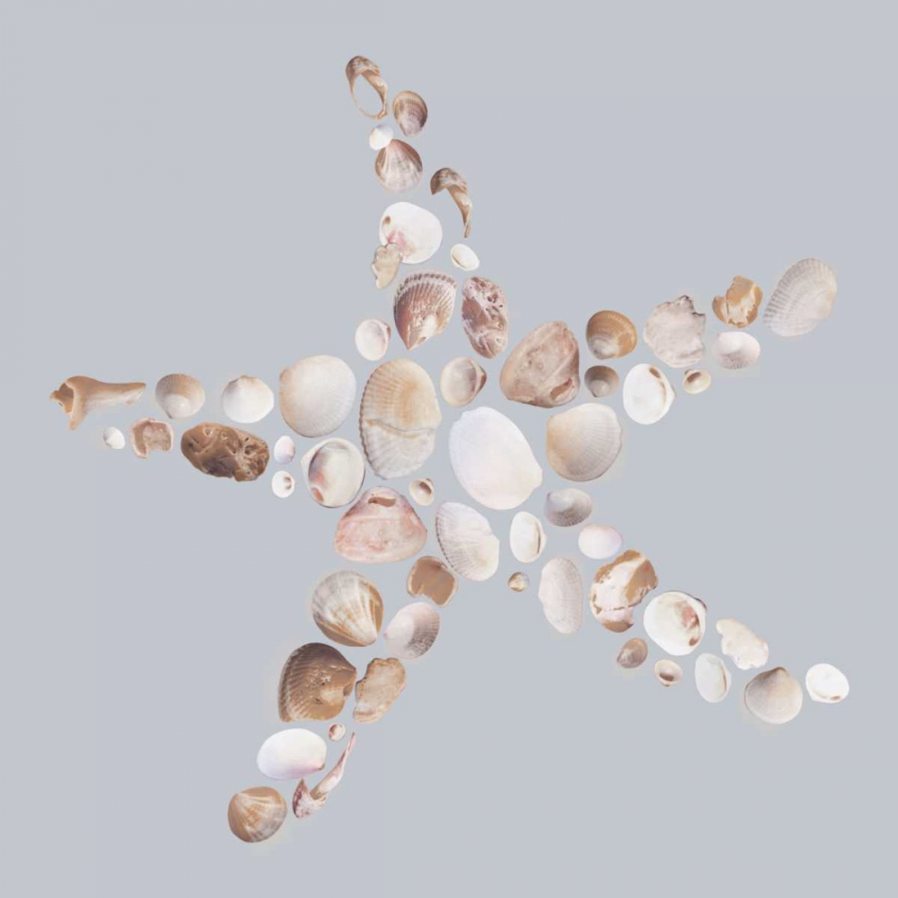 Starfish art print by Justin Lloyd for $57.95 CAD