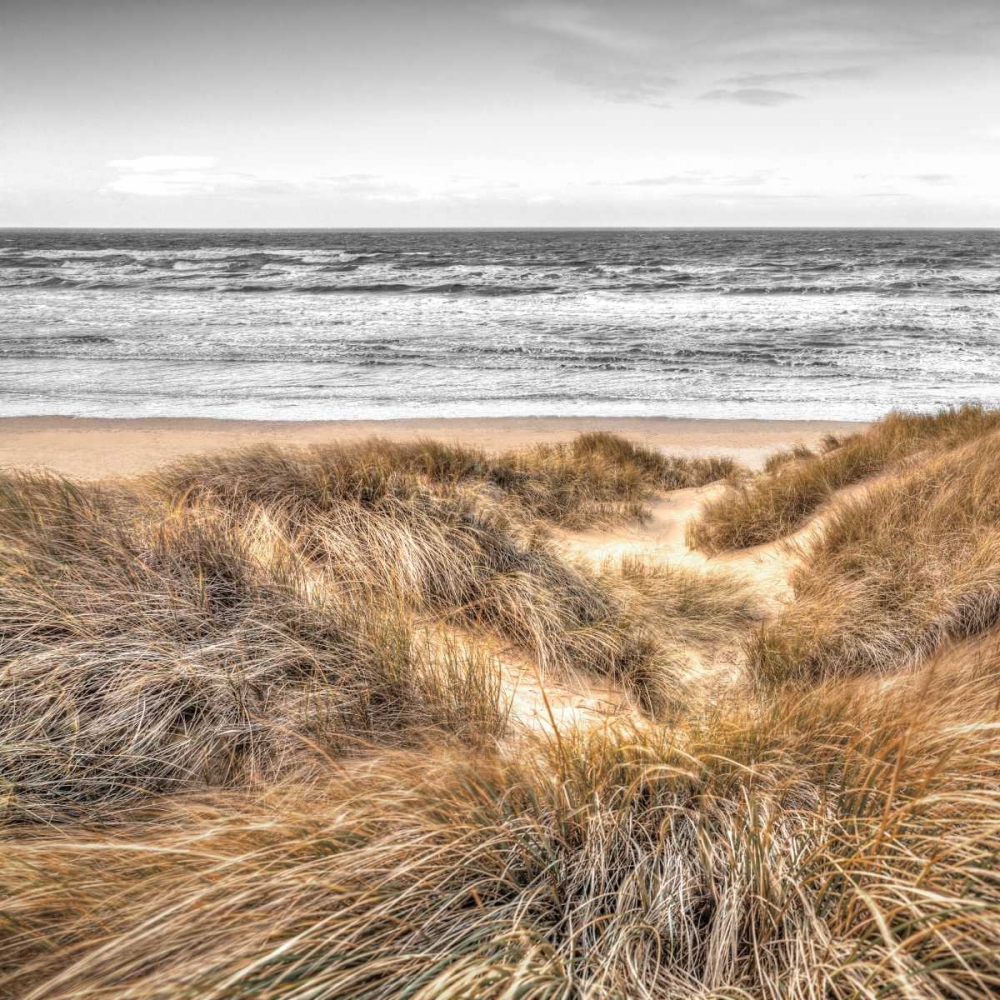 Beach Dunes art print by Assaf Frank for $57.95 CAD