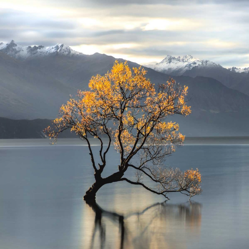 Undisturbed art print by Michael Cahill for $57.95 CAD